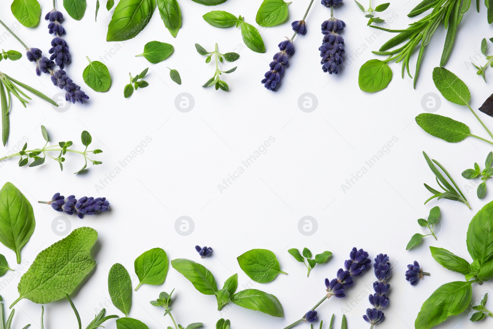 Photo of Frame made with different aromatic herbs on white background, flat lay. Space for text