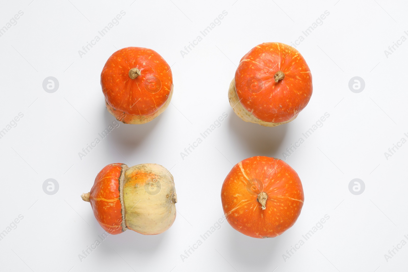 Photo of Flat lay composition with orange pumpkins on white background. Autumn holidays