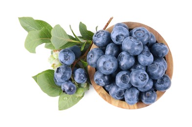 Fresh blueberries and leaves isolated on white, top view