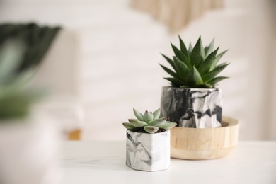 Photo of Beautiful potted succulents on white wooden table indoors. Space for text