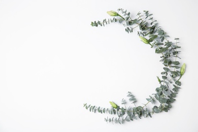 Fresh eucalyptus leaves with flowers and space for design on white background, top view