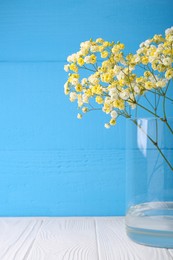 Photo of Beautiful dyed gypsophila flowers in glass vase on white wooden table against light blue background. Space for text