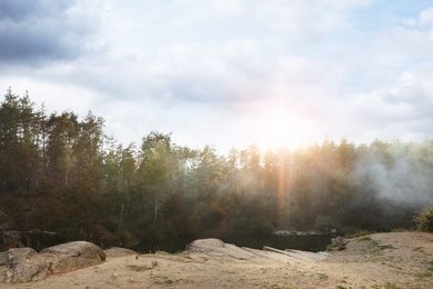 Photo of Picturesque view of sunny forest. Camping season