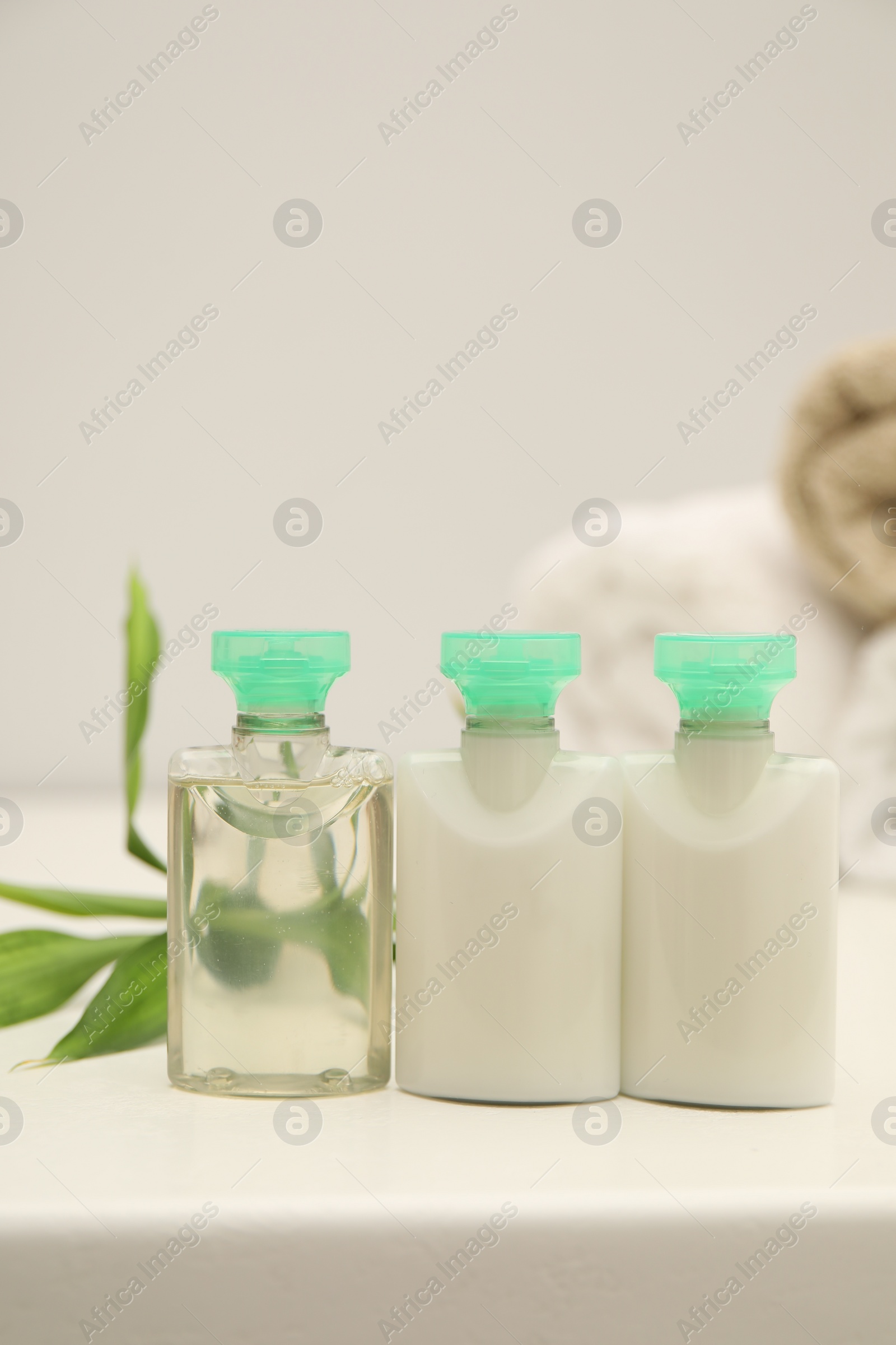 Photo of Mini bottles of cosmetic products and green branch on white table