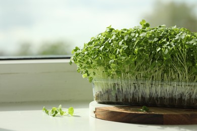 Photo of Fresh microgreen growing in plastic container on windowsill indoors, space for text