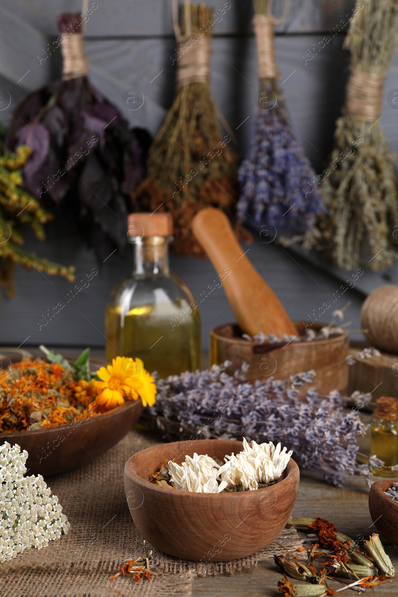 Photo of Many different dry herbs on wooden table