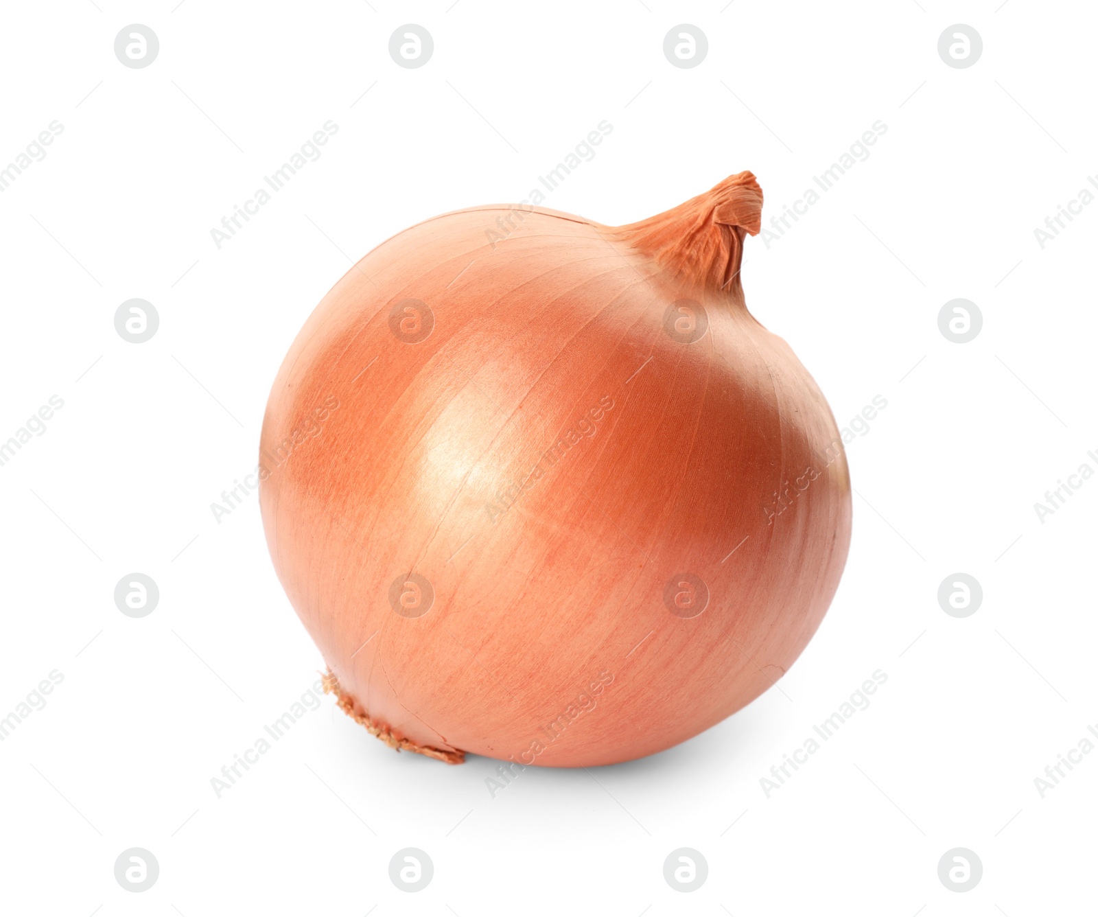 Photo of One fresh unpeeled onion isolated on white