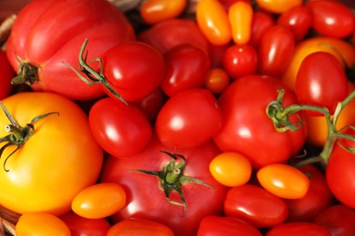 Photo of Tasty fresh tomatoes as background, top view