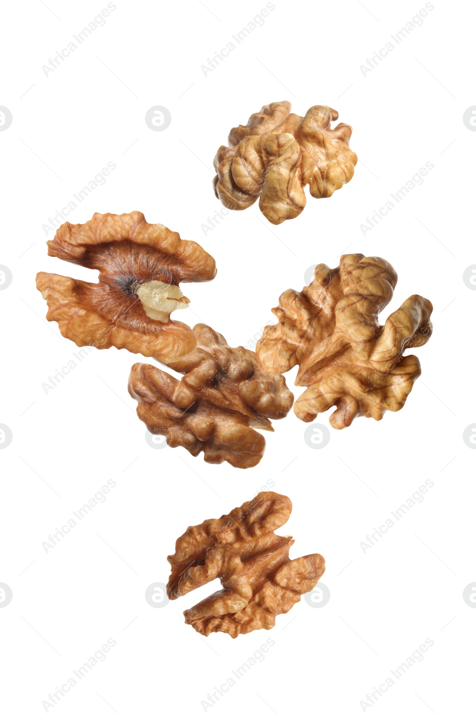 Image of Halves of walnuts falling on white background 