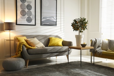 Stylish living room with sofa. Interior design in grey and yellow colors