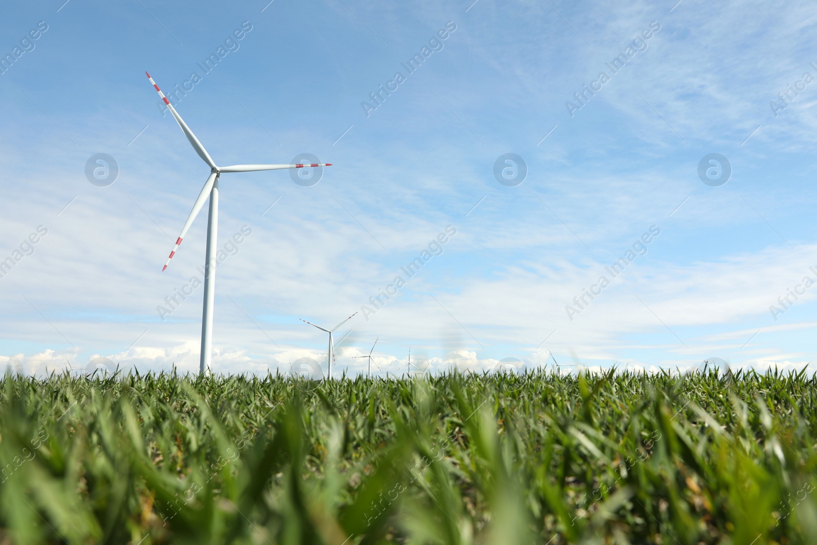 Photo of Modern wind turbines in field on sunny day. Alternative energy source