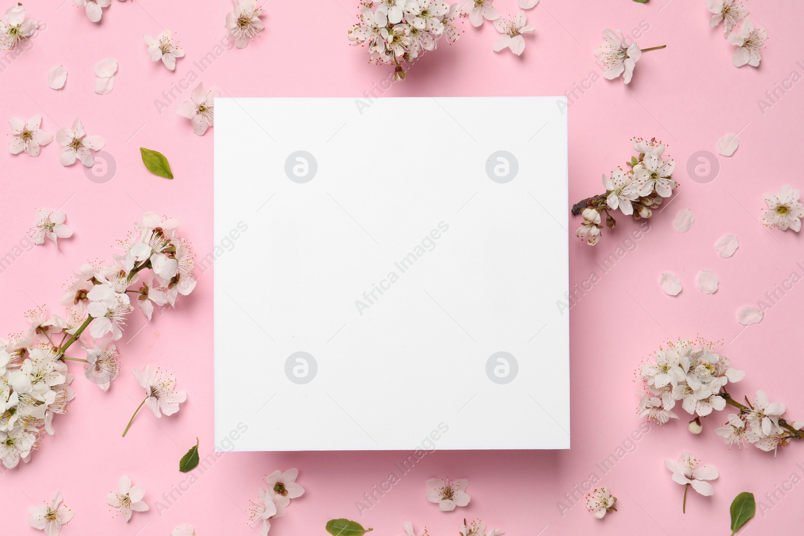 Photo of Composition with spring tree blossoms and paper card on pink background, flat lay. Space for text