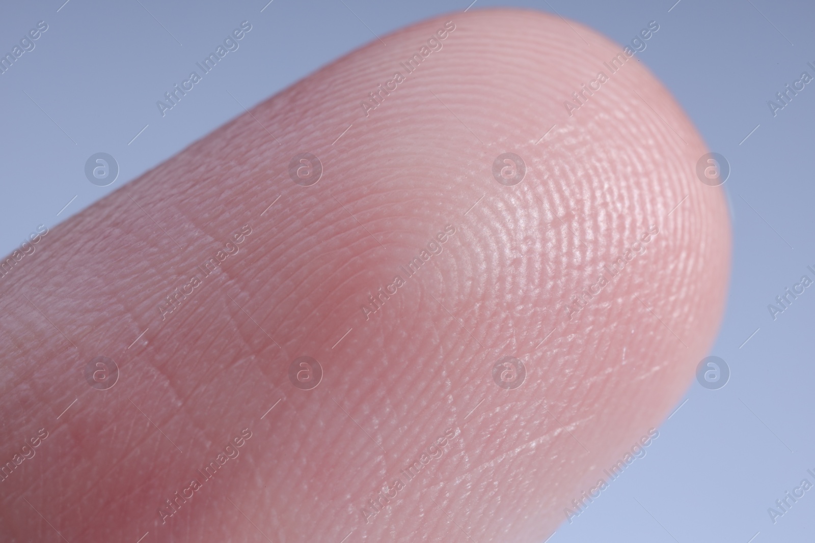 Photo of Finger with friction ridges on light blue background, macro view