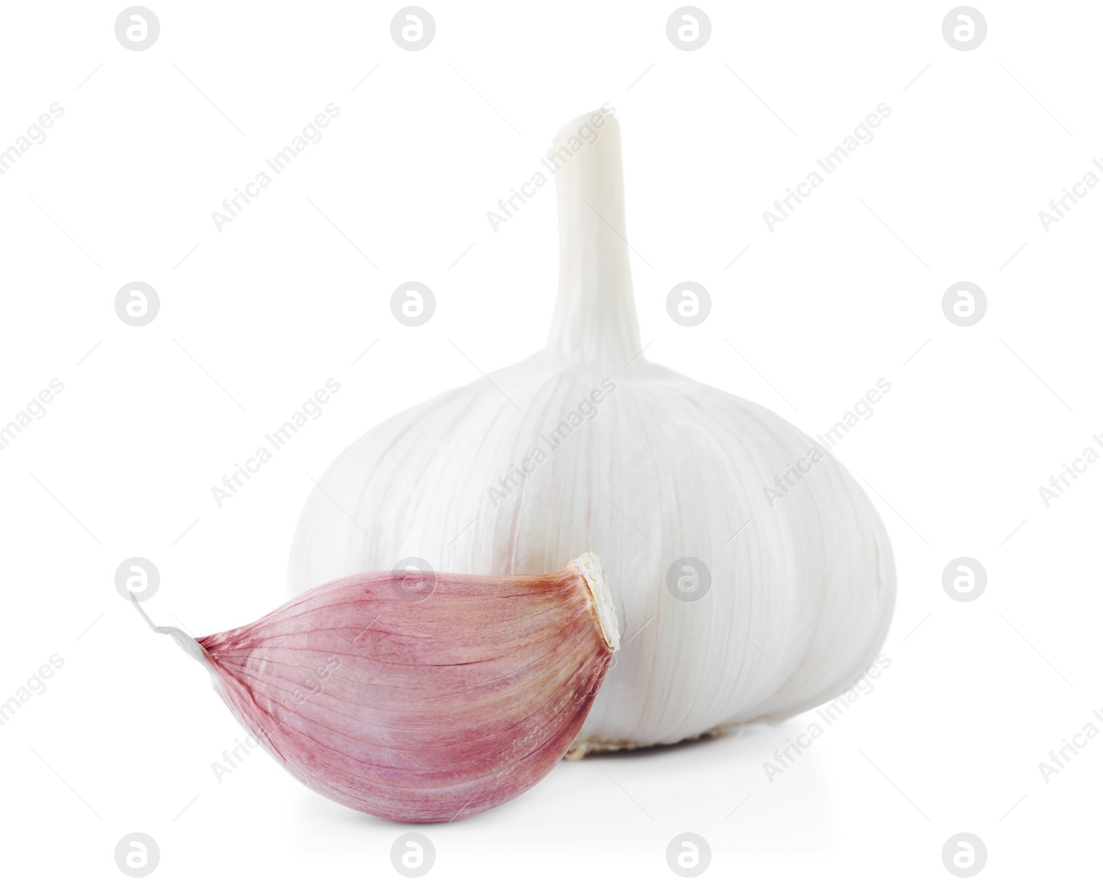 Photo of Fresh garlic bulb and clove on white background. Organic food