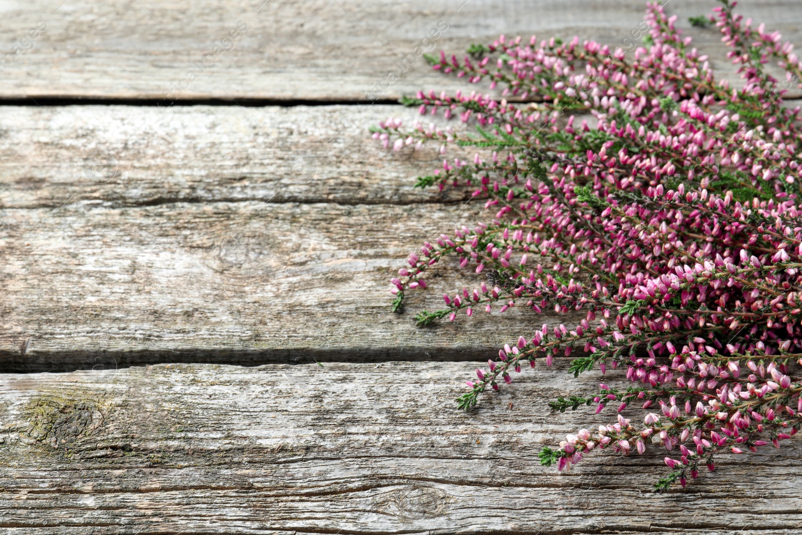 Photo of Heather branches with beautiful flowers on wooden table. Space for text