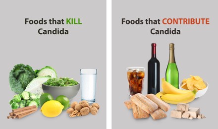 Image of List of foods that kill and contribute Candida on grey background