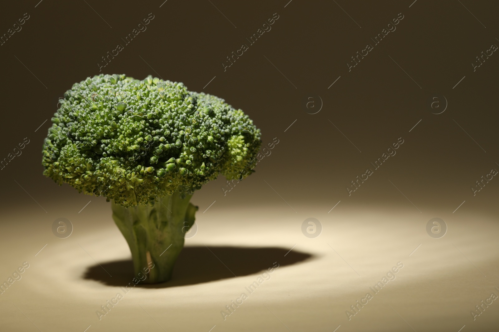 Photo of Fresh raw broccoli on beige background, closeup. Space for text