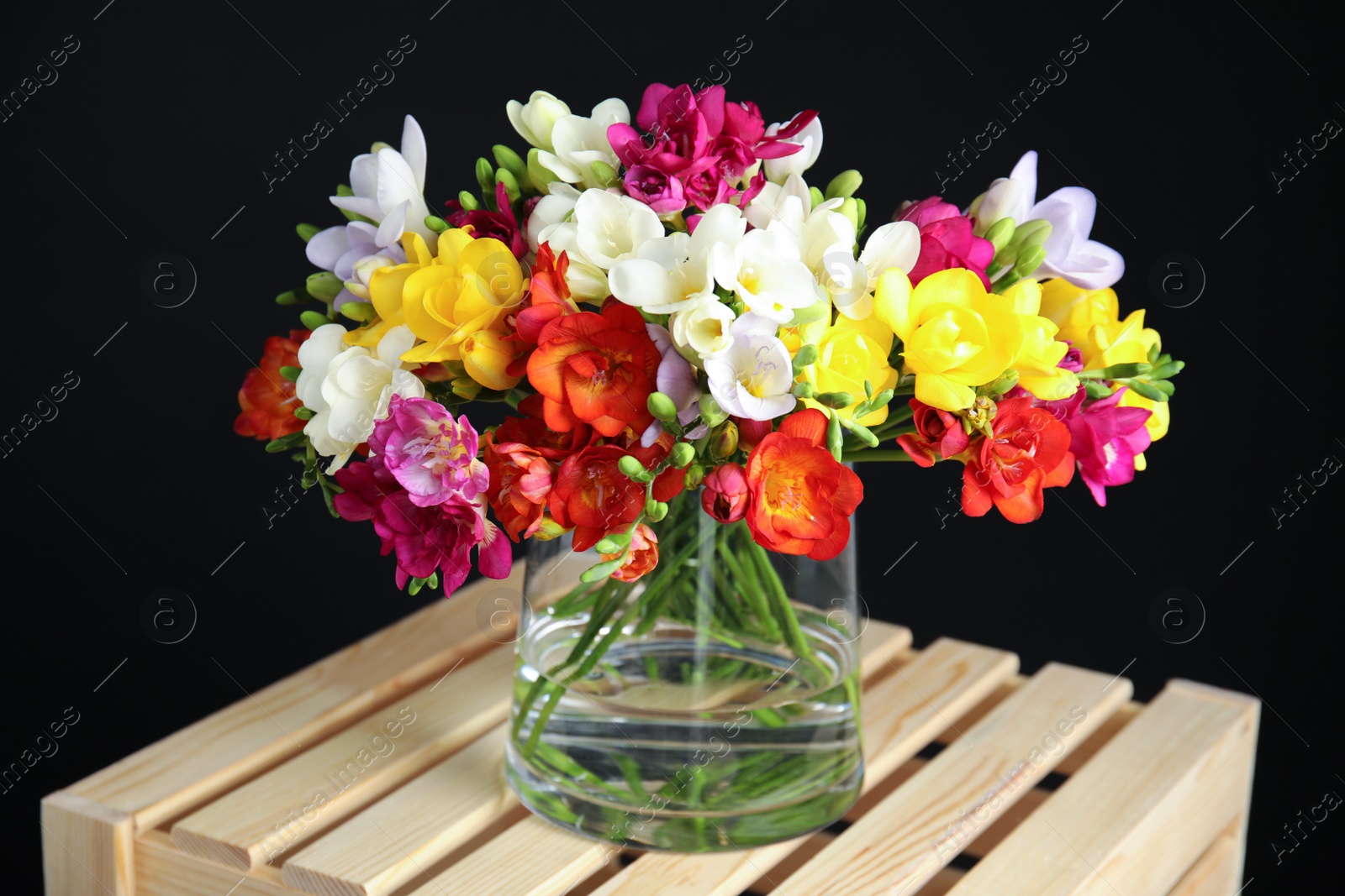 Photo of Bouquet of spring freesia flowers in vase on dark background