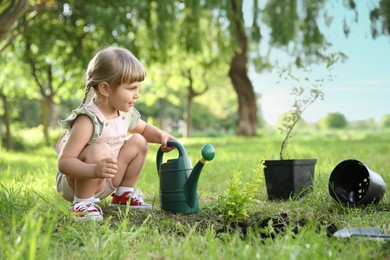Photo of Cute little girl planting tree in garden