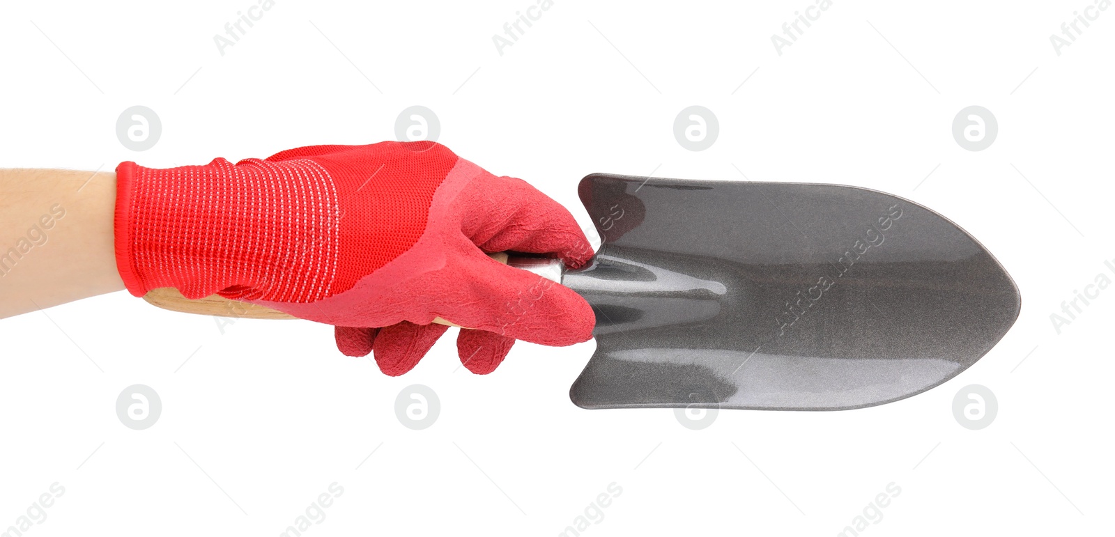 Photo of Woman in gardening glove holding trowel on white background, closeup