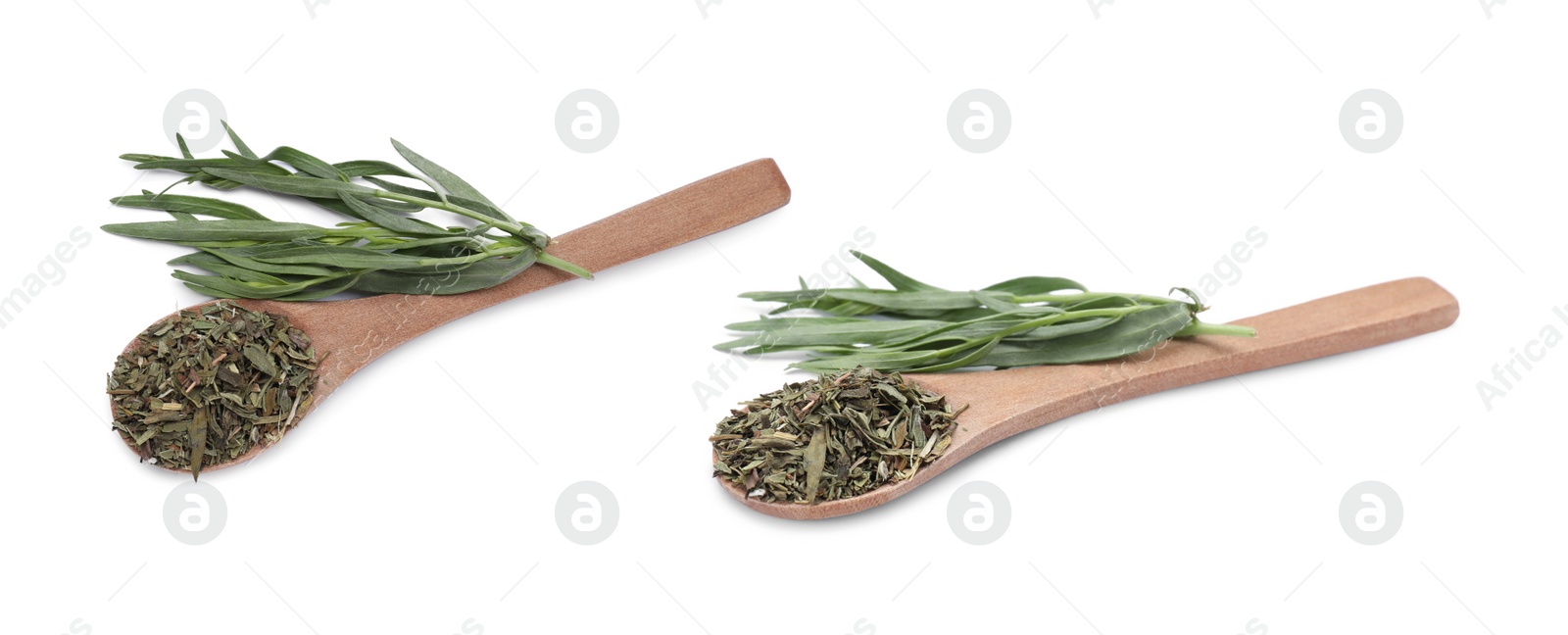 Image of Spoon with dry tarragon and fresh leaves isolated on white, top and side views