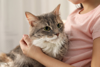 Cute little girl with cat at home, closeup. First pet