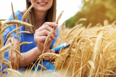 Photo of Young woman in grain field, closeup. Cereal farming