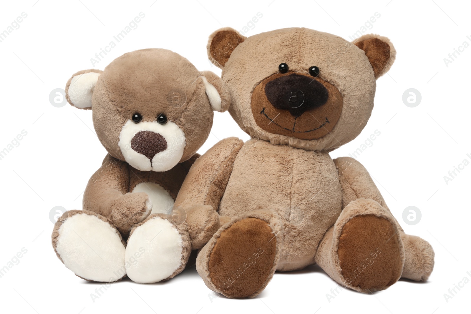 Photo of Cute teddy bears isolated on white. Child`s toy
