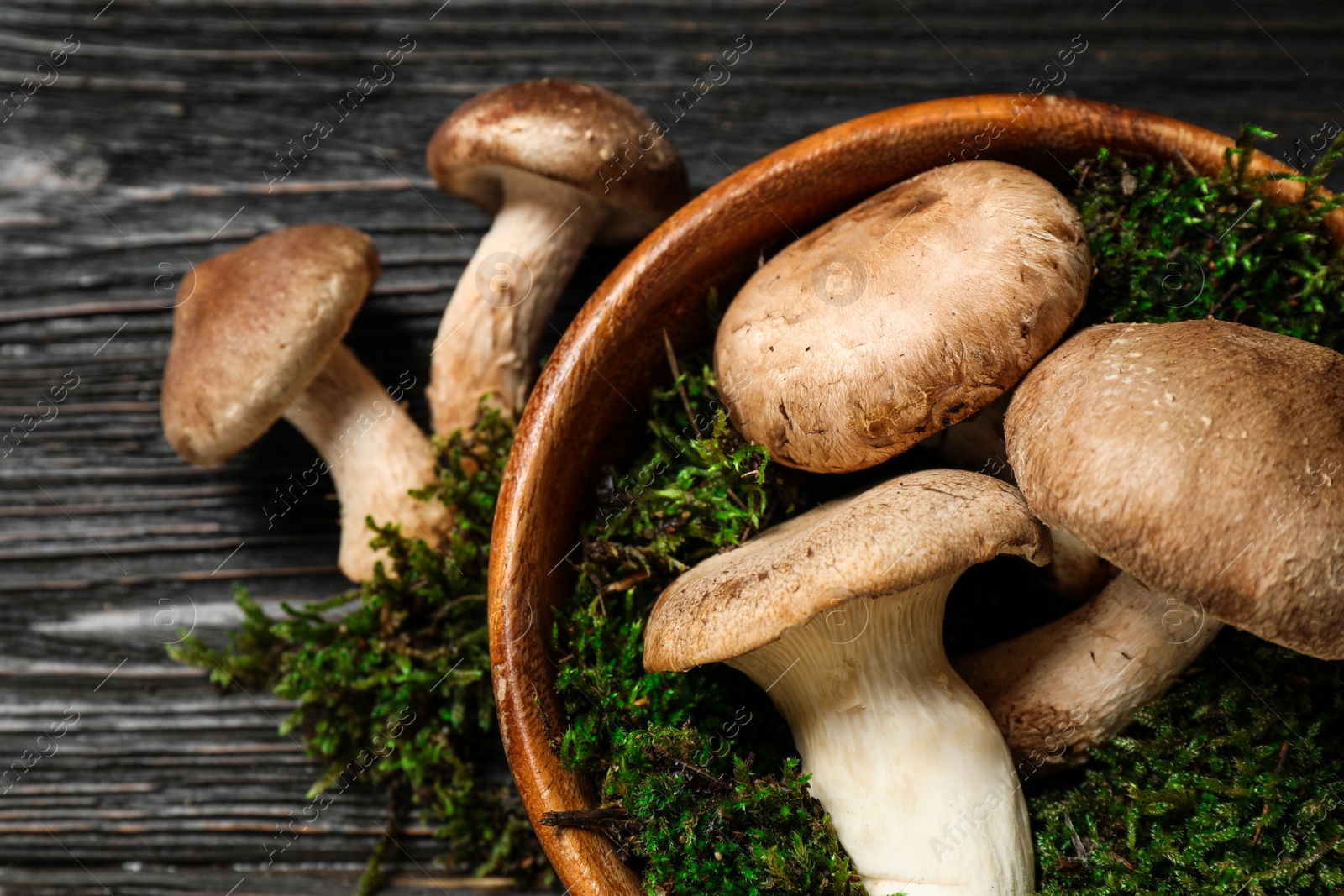 Photo of Flat lay composition with fresh wild mushrooms on black wooden table