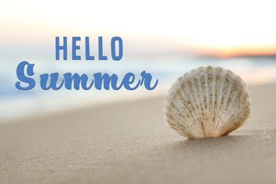 Image of Hello Summer. Beautiful seashell on sandy beach, closeup