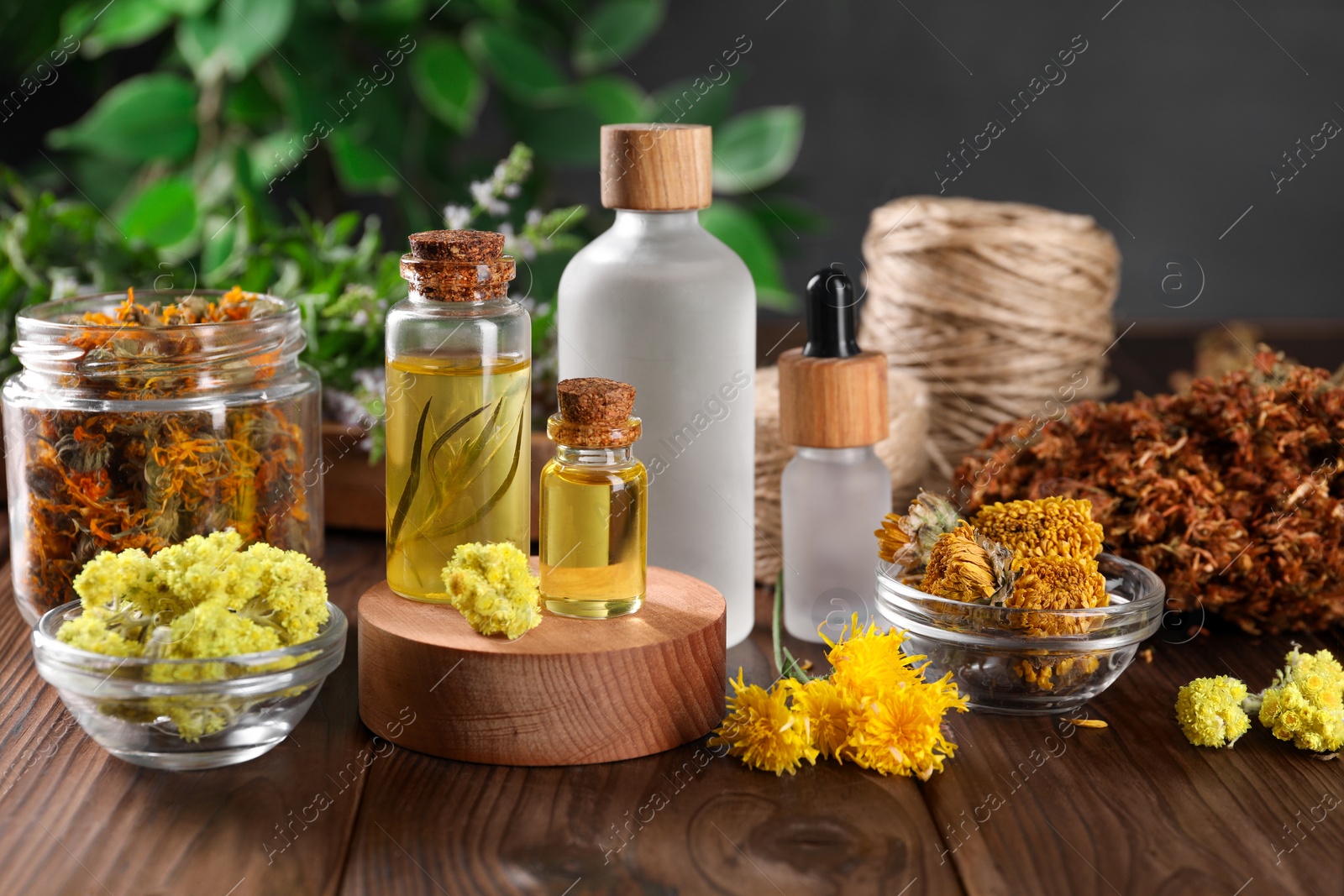 Photo of Bottles of essential oils and different herbs on wooden table