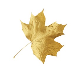 One golden maple leaf isolated on white. Autumn season