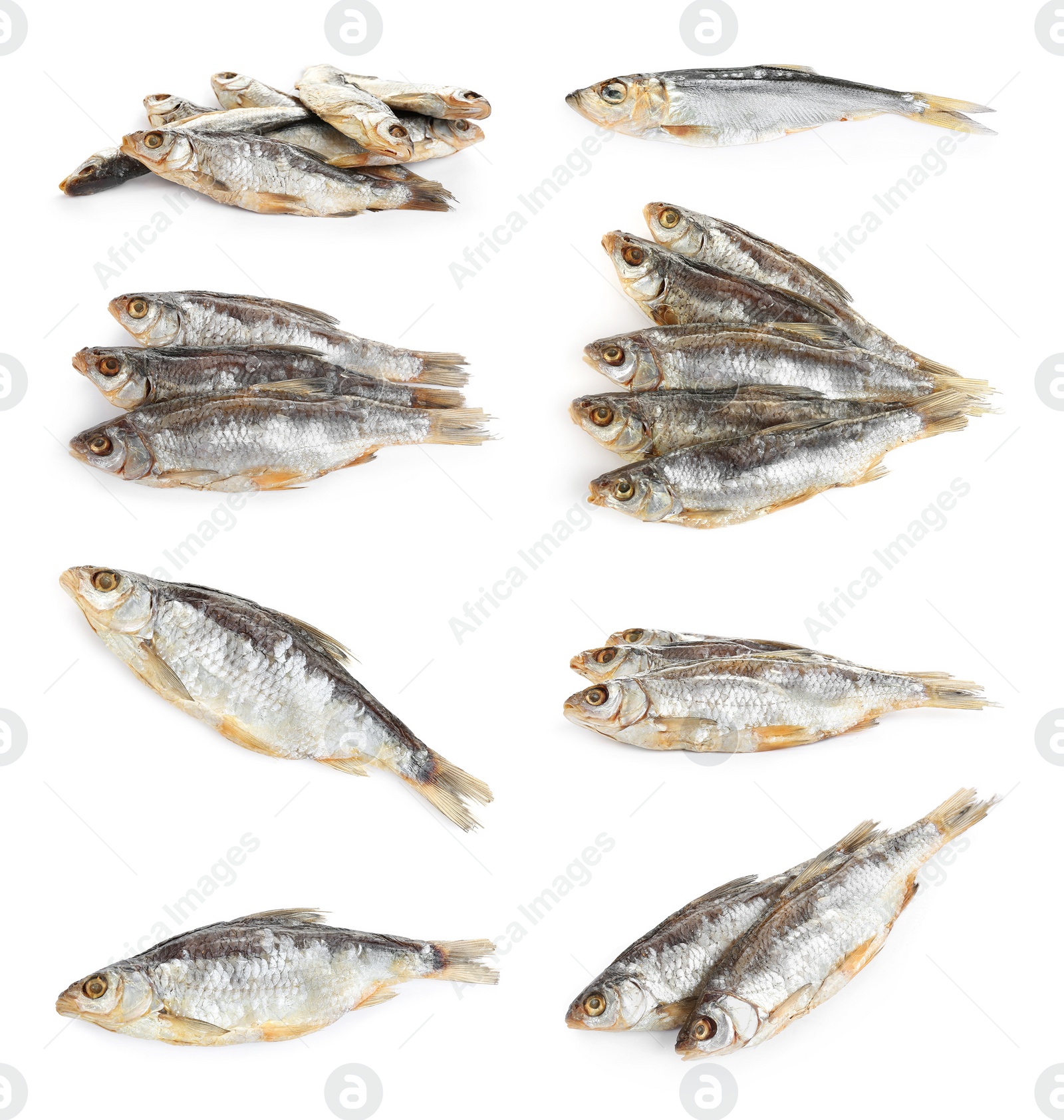 Image of Set of tasty dry fish on white background