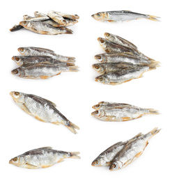 Image of Set of tasty dry fish on white background