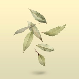 Dry bay leaves falling on pale goldenrod background