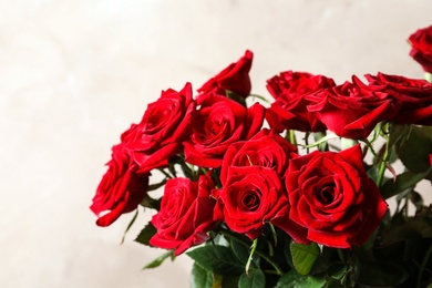 Beautiful red rose flowers on color background