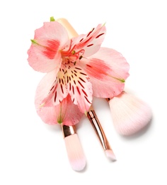 Makeup brushes of professional artist with flower on white background