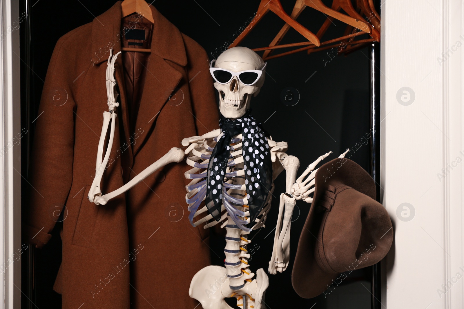 Photo of Artificial human skeleton model among clothes in wardrobe