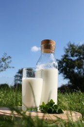 Glass and bottle of milk on wooden board outdoors