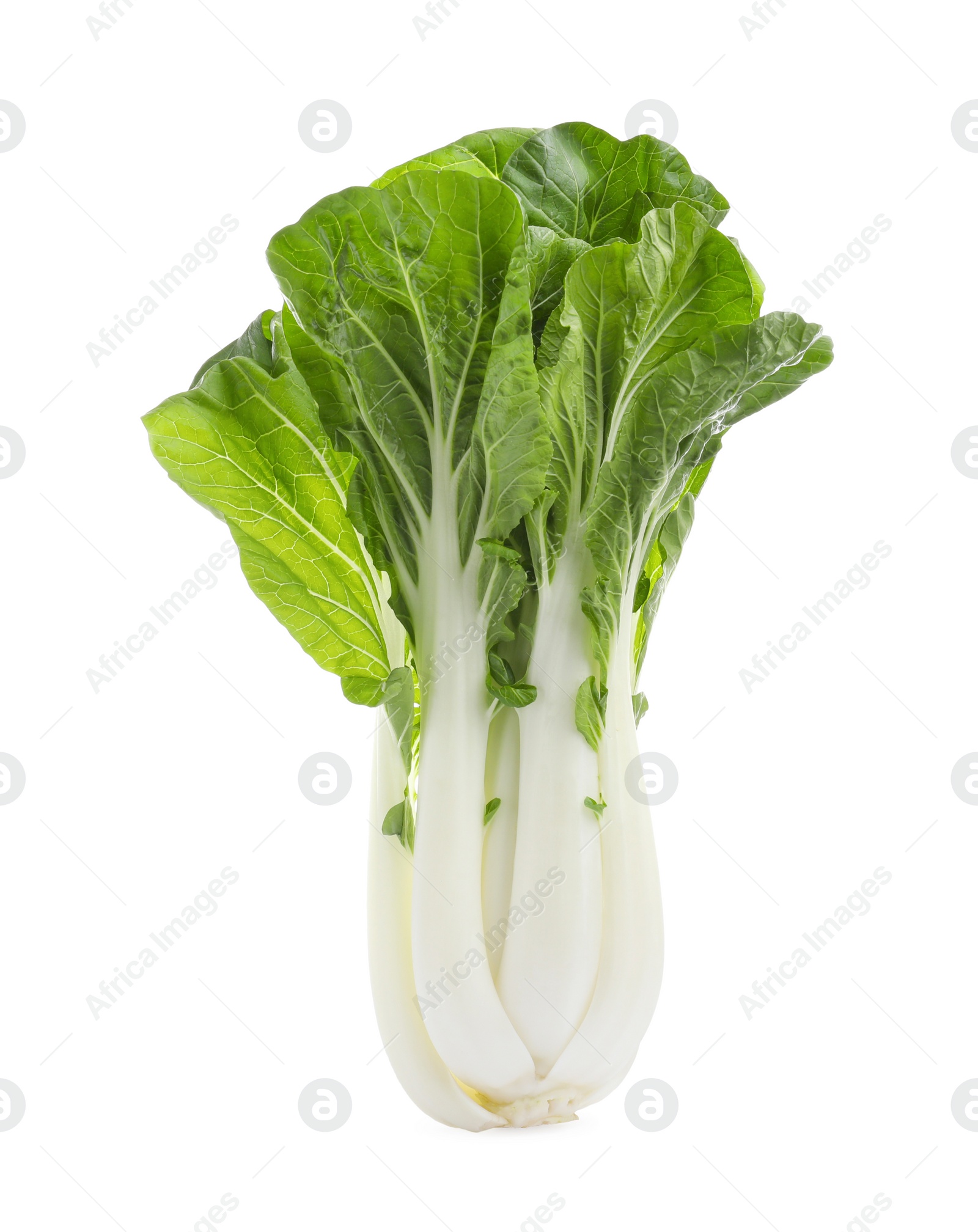 Photo of Fresh green pak choy cabbage isolated on white, top view