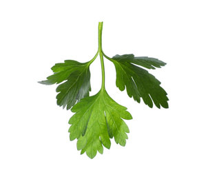 Photo of Aromatic fresh green parsley isolated on white