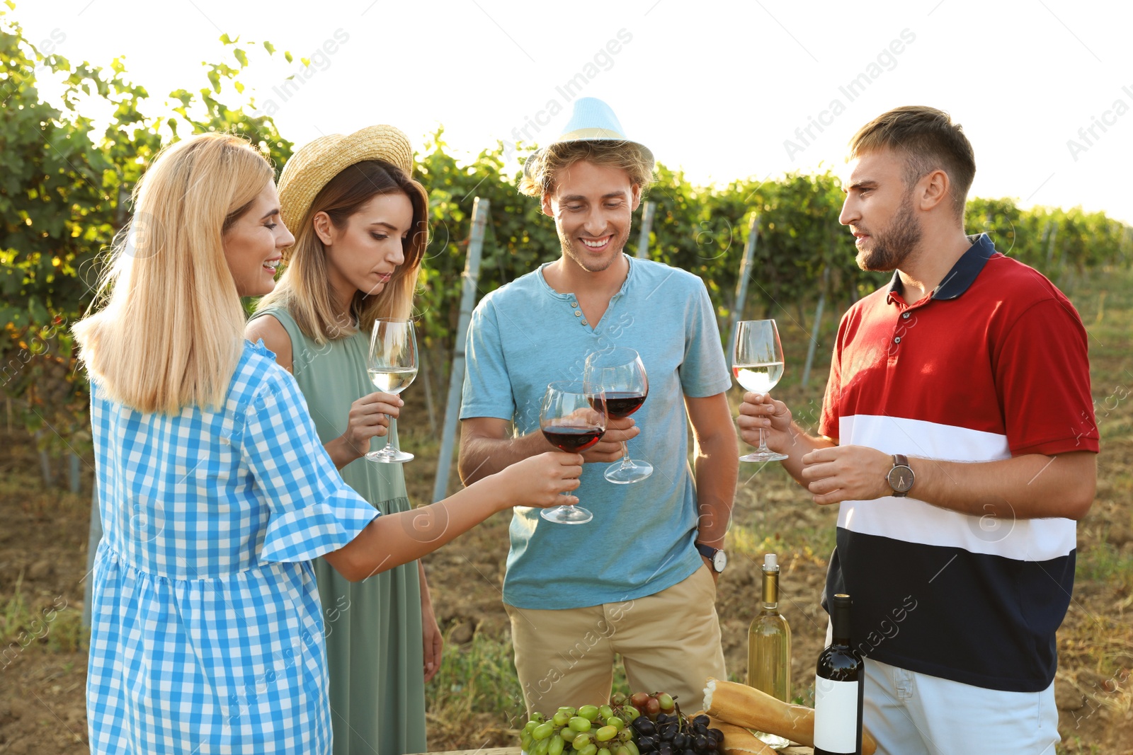 Photo of Friends holding glasses of wine and having fun on vineyard picnic