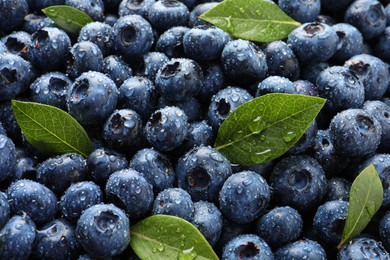 Wet fresh blueberries with green leaves as background, closeup