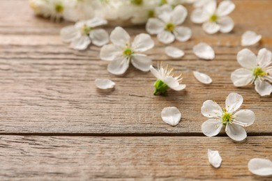Photo of Spring blossoms and petals on wooden table, closeup. Space for text