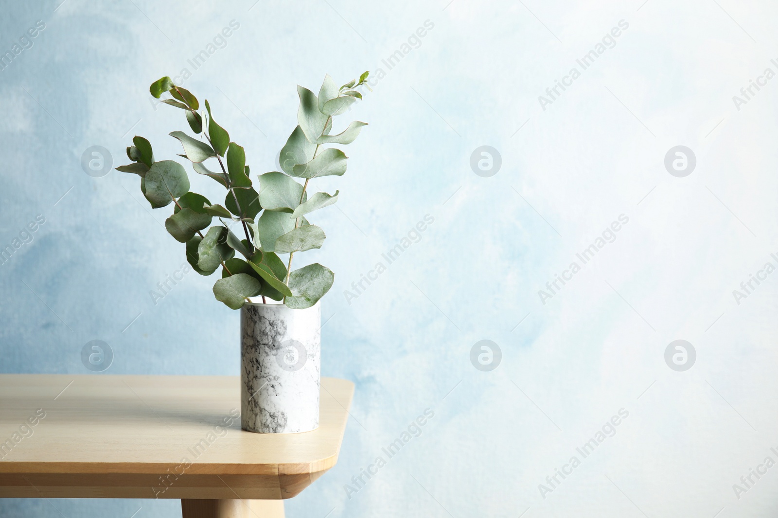 Photo of Bunch of eucalyptus branches with fresh leaves in vase on table