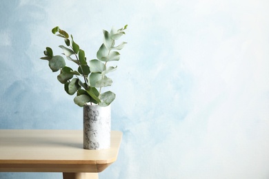 Photo of Bunch of eucalyptus branches with fresh leaves in vase on table