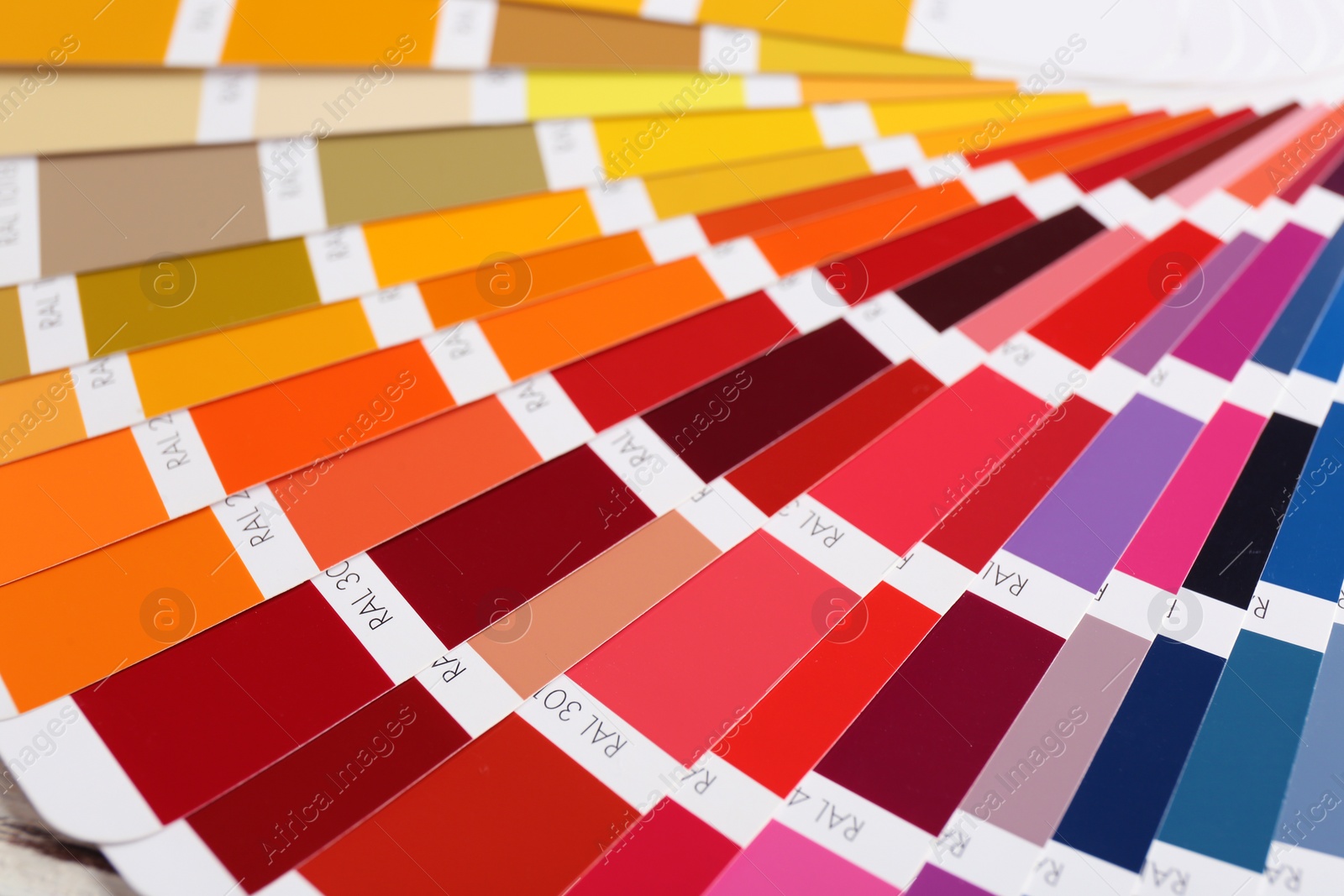 Photo of Color palette samples, closeup