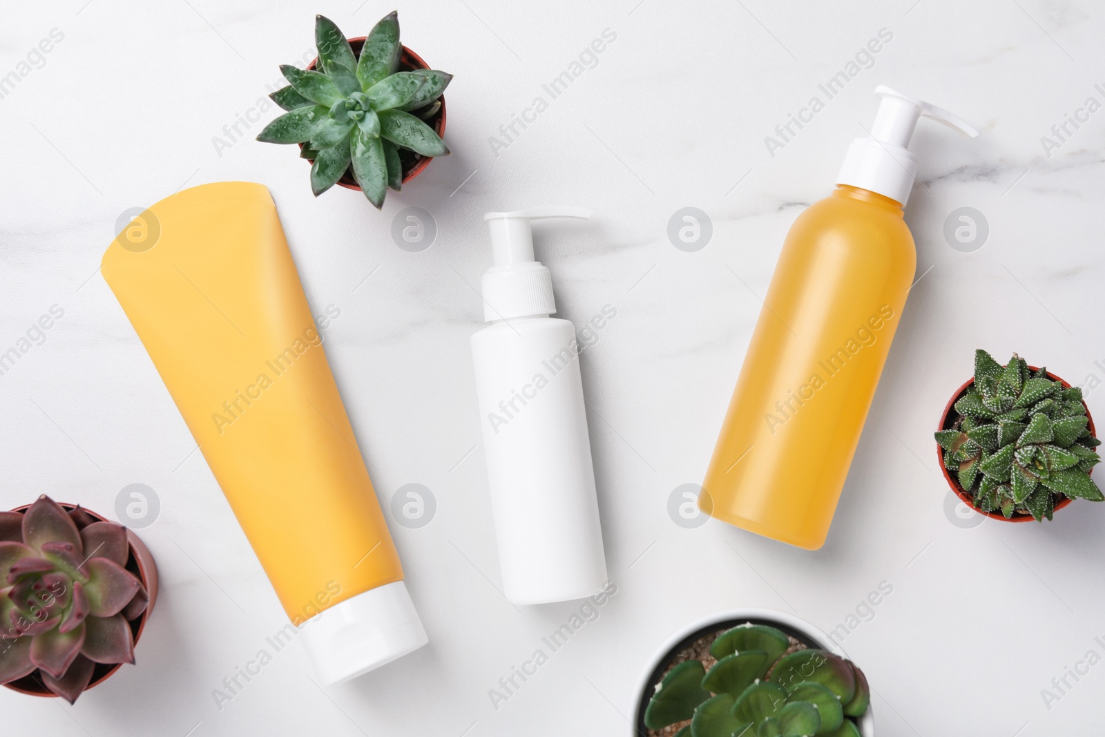 Photo of Different face cleansing products and potted succulents on white marble table, flat lay