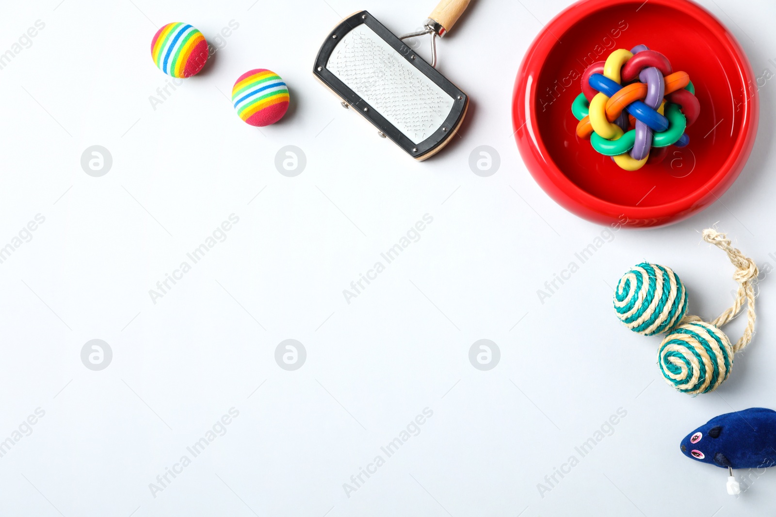 Photo of Flat lay composition with accessories for cat on light background. Pet care