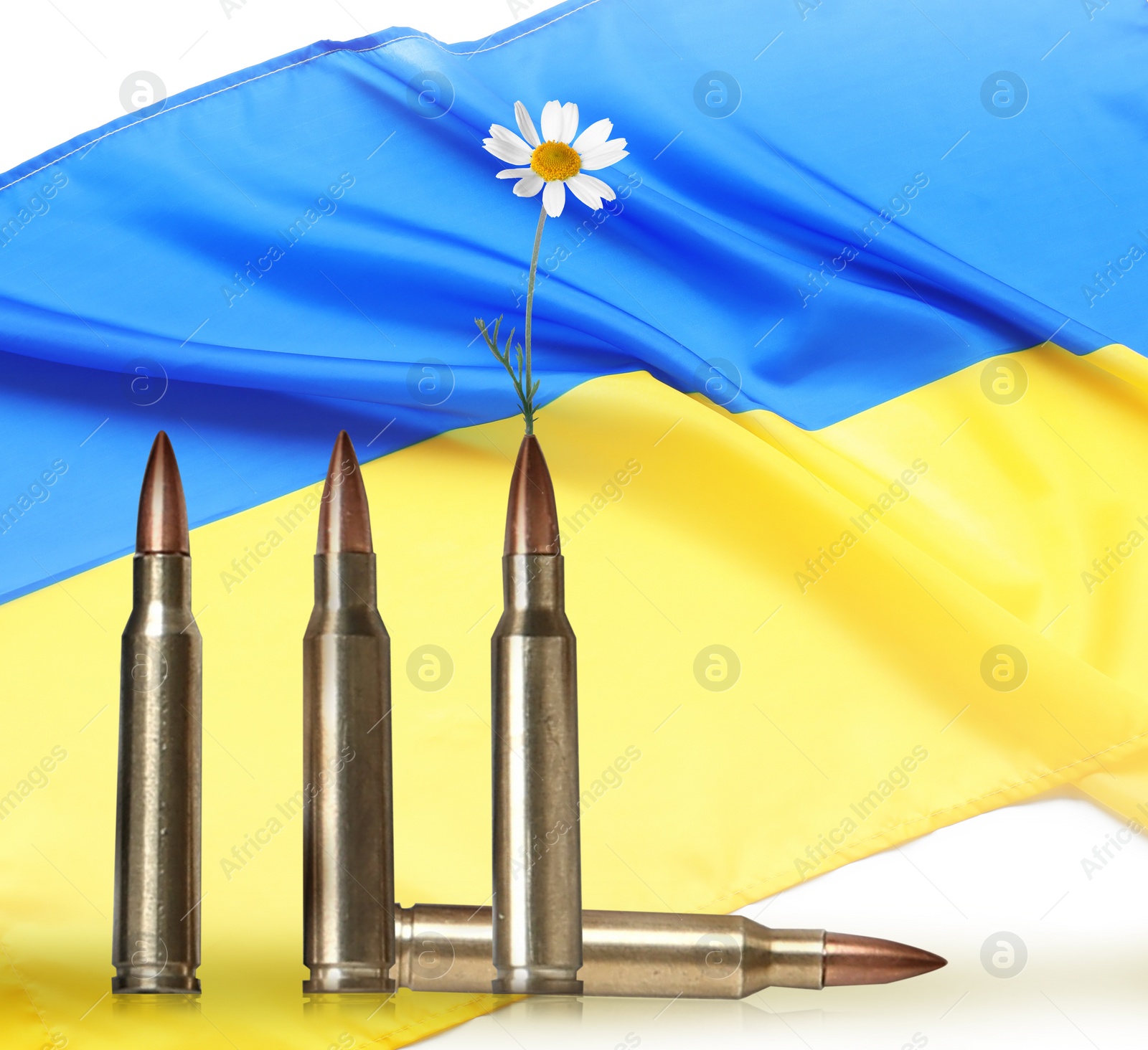 Image of Beautiful blooming flower, bullets and Ukrainian national flag on white background. Peace instead of war